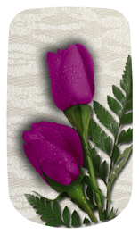 DAROYAL-053 2 Roses Orchid